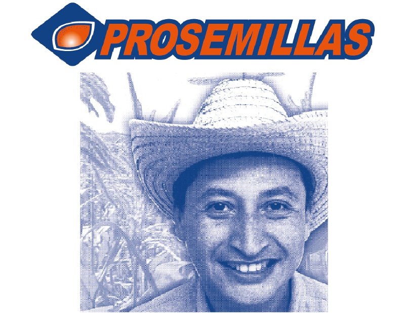 Productora de Semillas - Semillas mejoradas de alta calidad