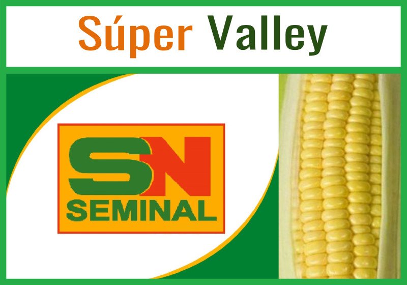 Super Valley